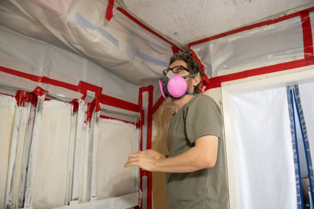 Kenilworth, IL Mold Removal Company